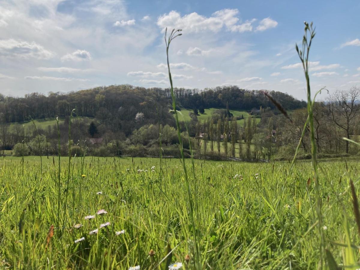 Domaine Labouroume Hotel Salies-de-Bearn Bagian luar foto