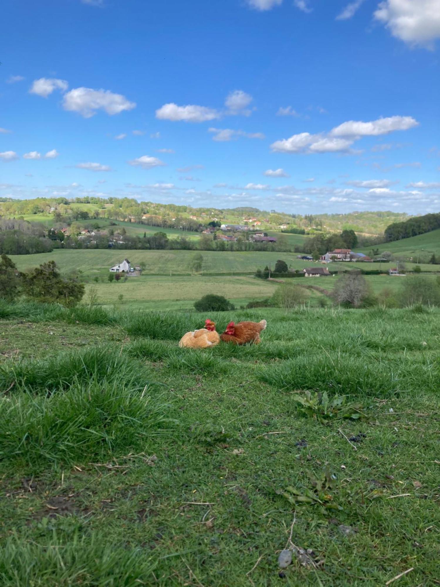 Domaine Labouroume Hotel Salies-de-Bearn Bagian luar foto