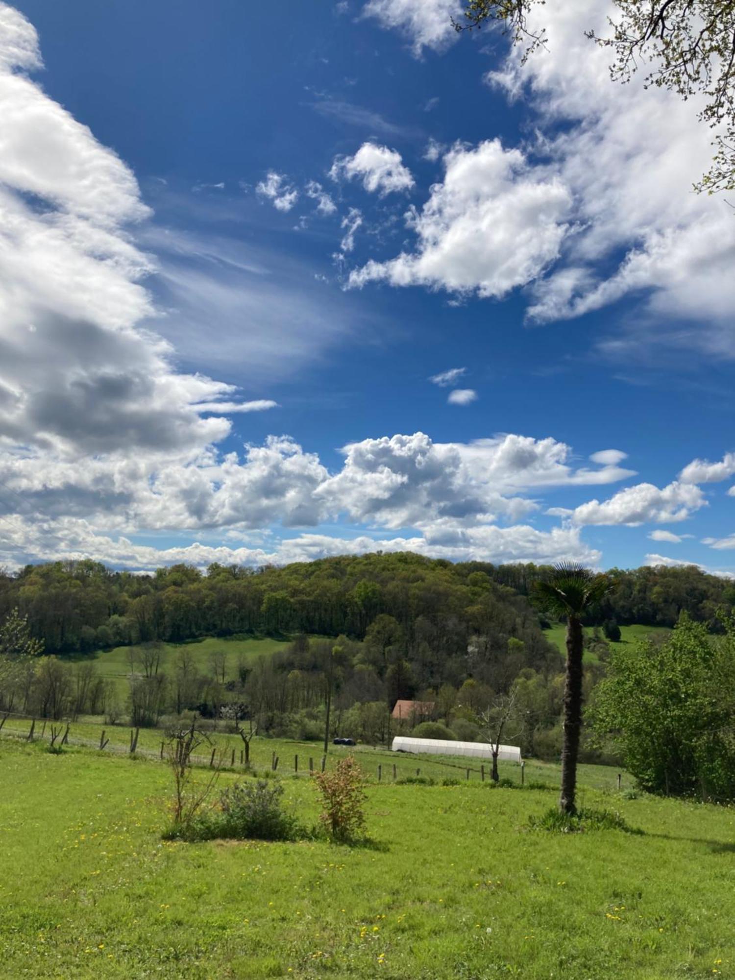 Domaine Labouroume Hotel Salies-de-Bearn Bagian luar foto