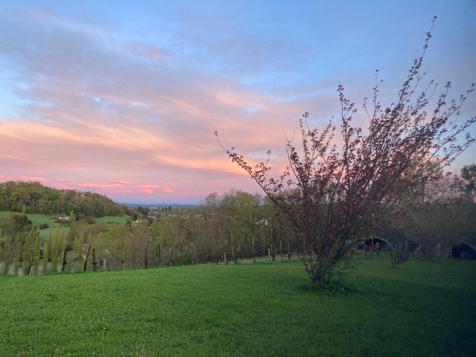 Domaine Labouroume Hotel Salies-de-Bearn Bagian luar foto