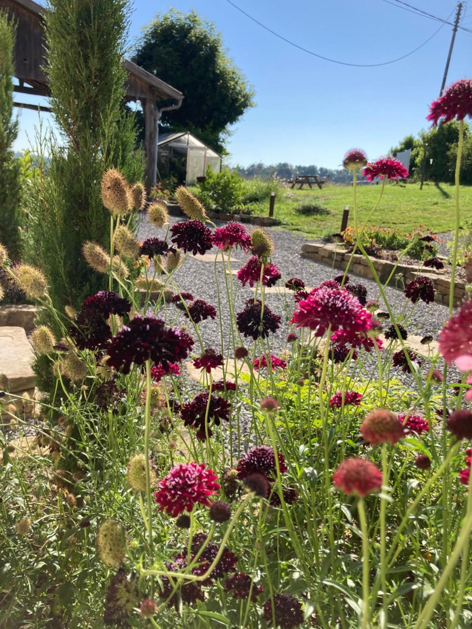 Domaine Labouroume Hotel Salies-de-Bearn Bagian luar foto